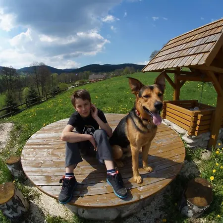 Gosciniec Leszczyniec בית אירוח *