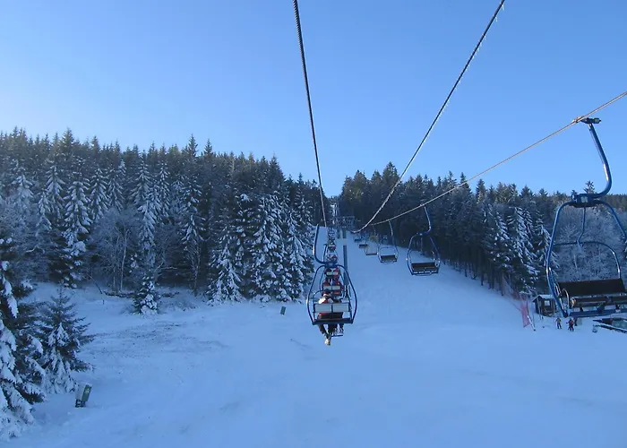 Gosciniec Leszczyniec