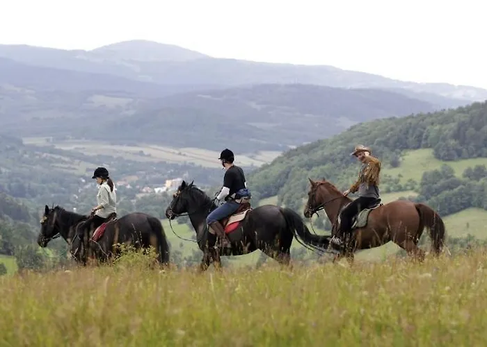 Gosciniec Leszczyniec Accommodatie bij particulieren Stronie Śląskie