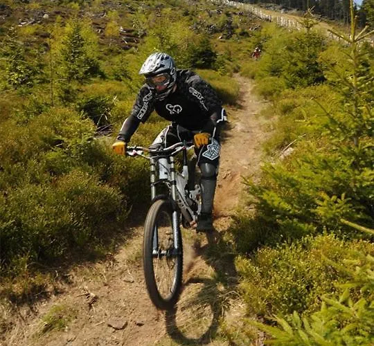 Accommodatie bij particulieren Gosciniec Leszczyniec Stronie Śląskie